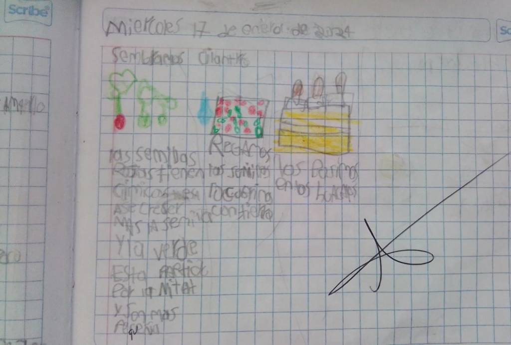 CREANDO NUESTRO HUERTO&nbsp;ESCOLAR