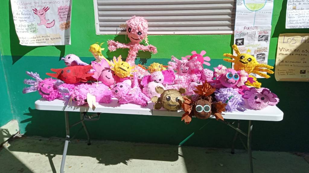 Mi amigo el&nbsp;ajolote